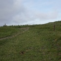 DSC08595