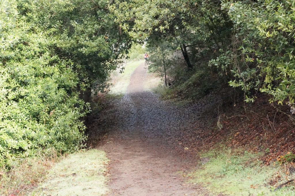 DSC00004