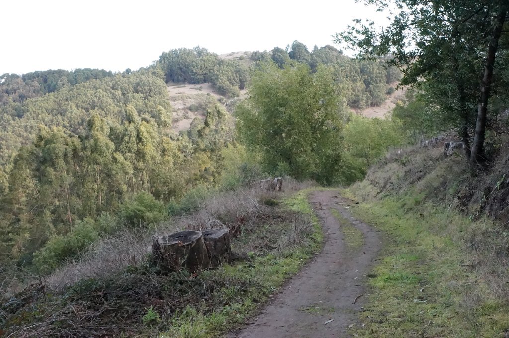 DSC00005