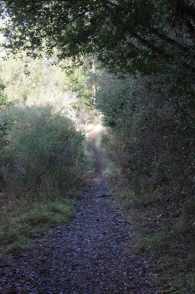 DSC00017