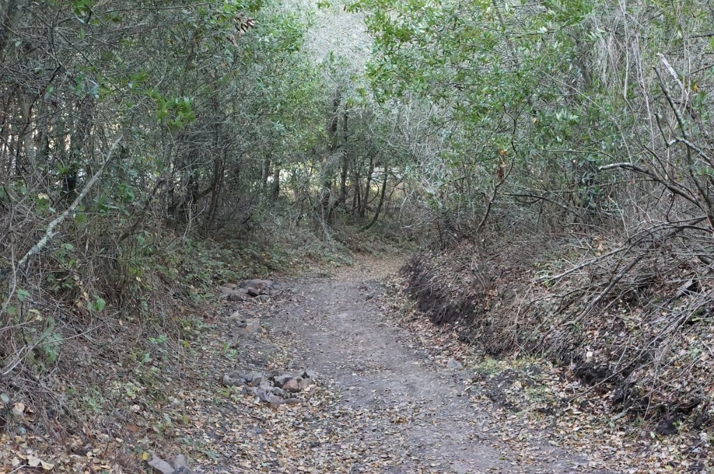 DSC00020