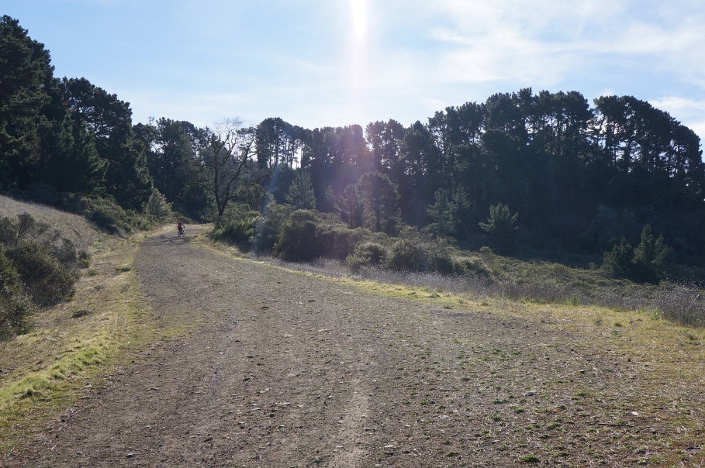 DSC00039