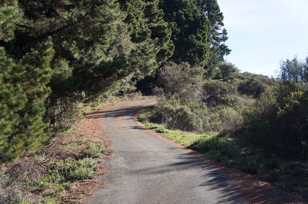 DSC00042