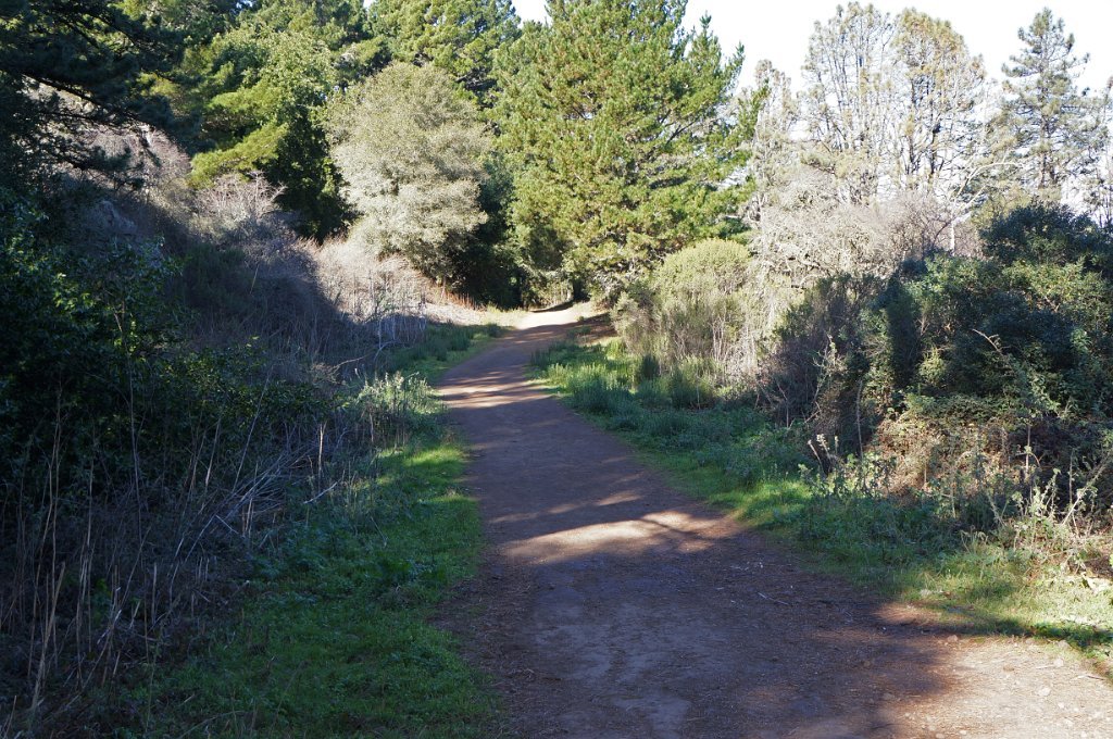 DSC00057
