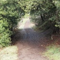 DSC00004