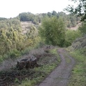 DSC00005