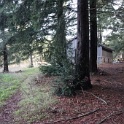 DSC00012