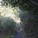 DSC00017