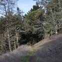 DSC00019