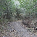 DSC00020
