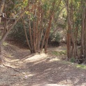 DSC00032