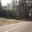 DSC00061