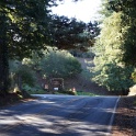 DSC00070