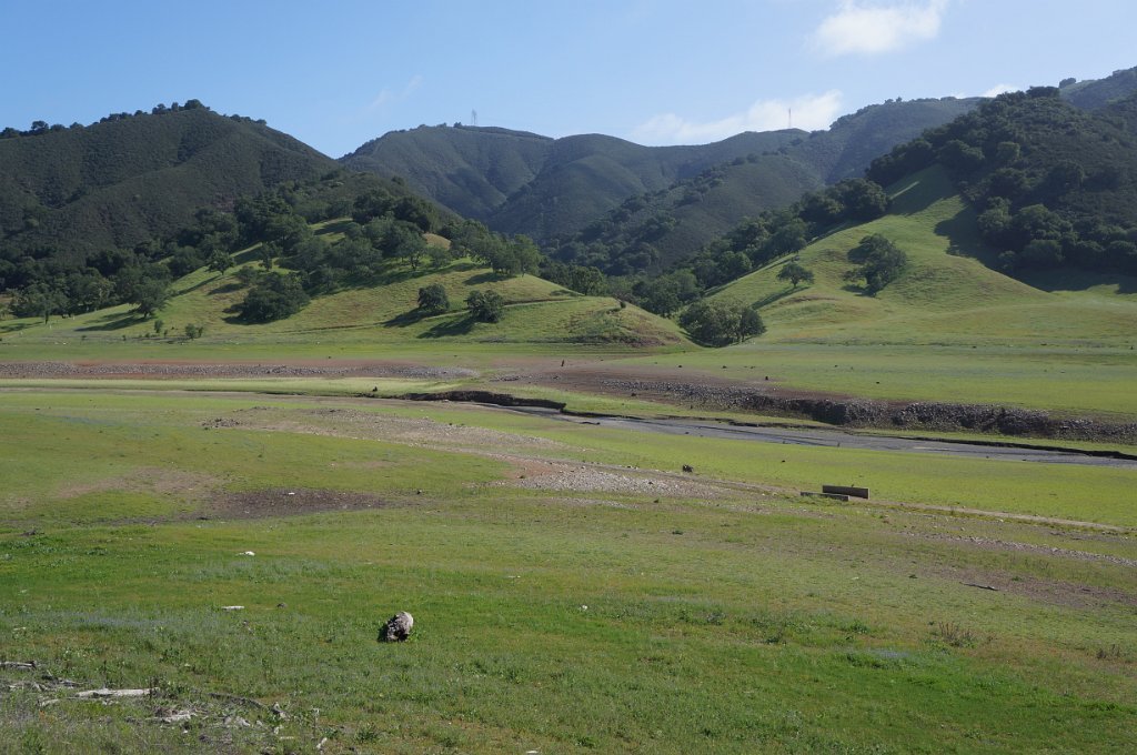 DSC08441