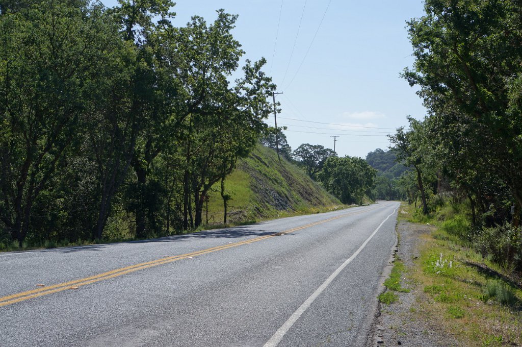 DSC08460