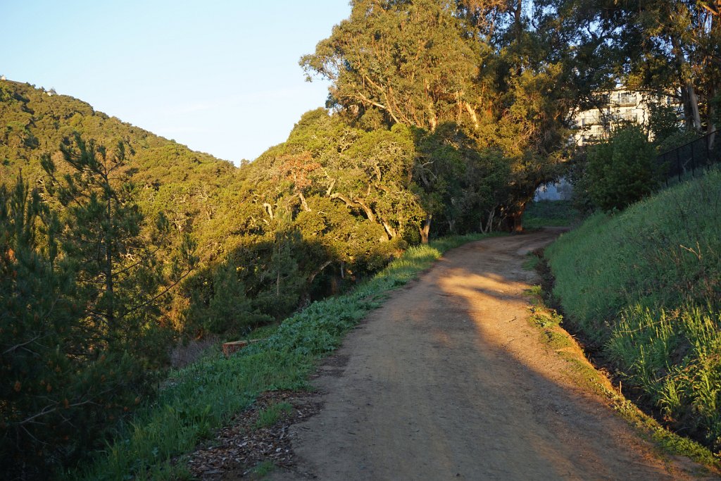 DSC01324