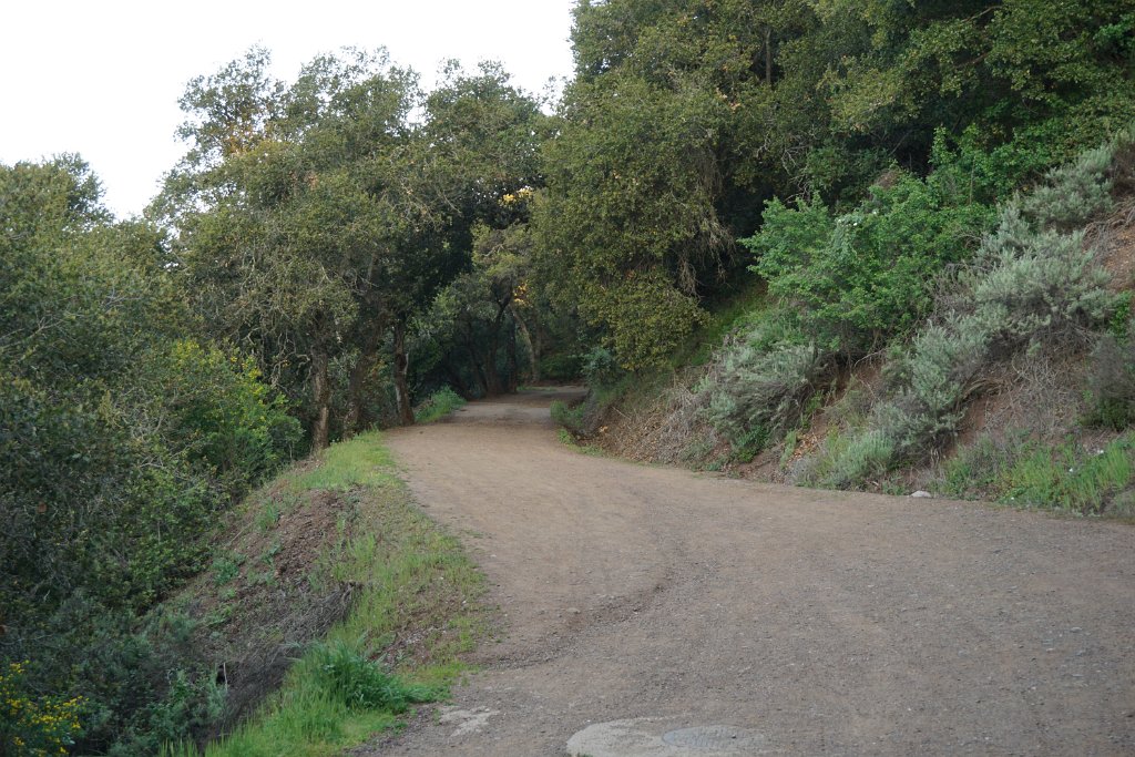 DSC01336