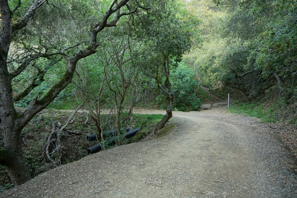 DSC01341