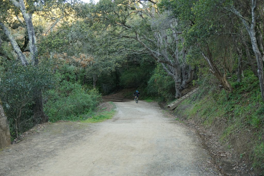 DSC01347