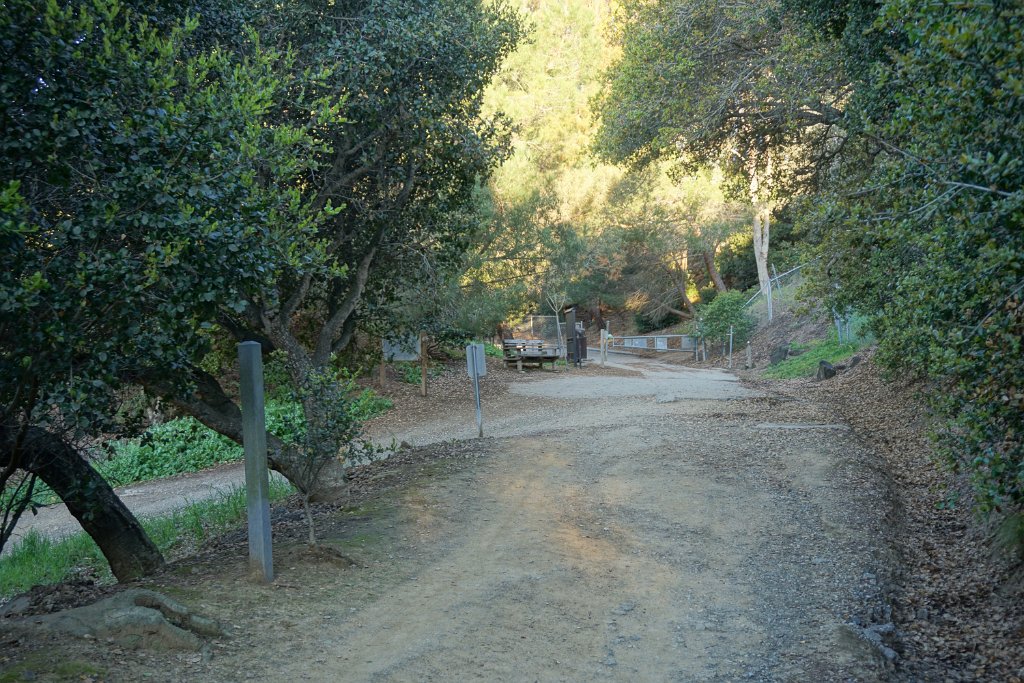 DSC01349