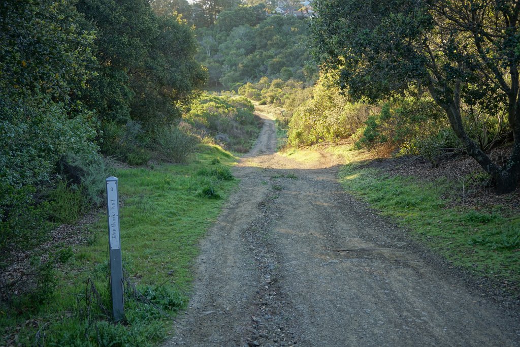 DSC01352