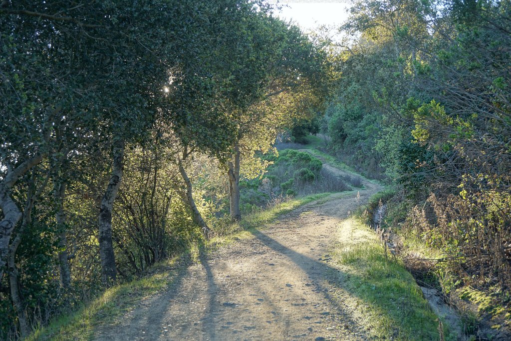 DSC01356