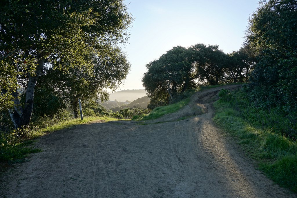 DSC01358