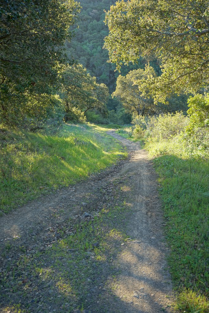 DSC01360