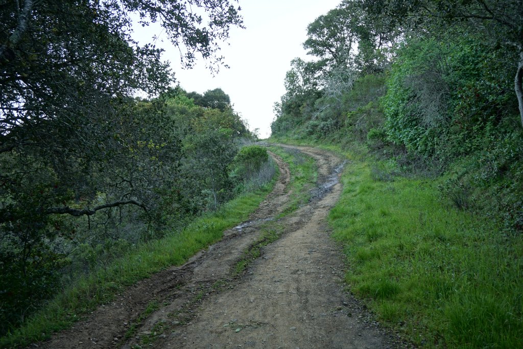 DSC01362