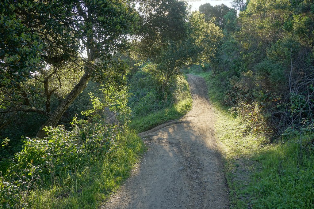 DSC01364