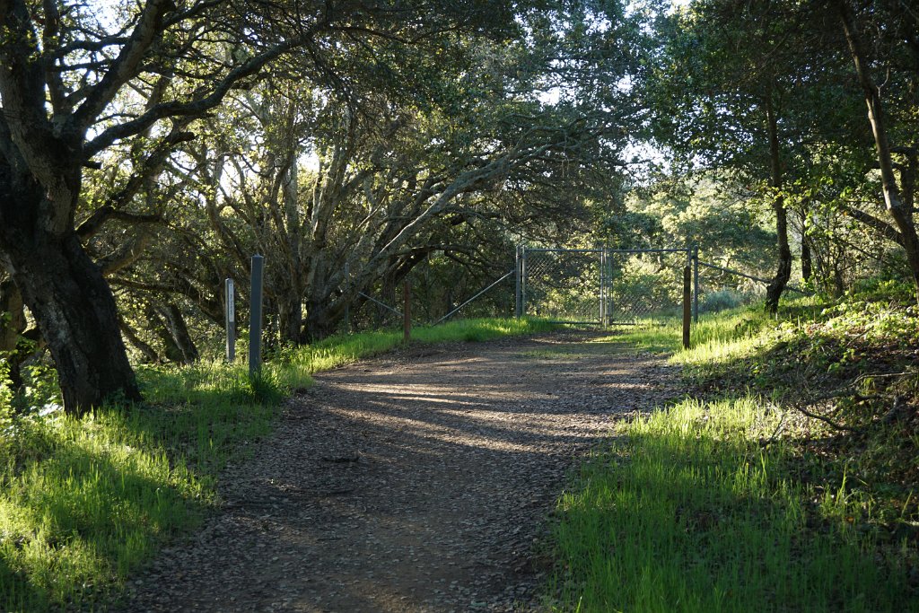 DSC01365