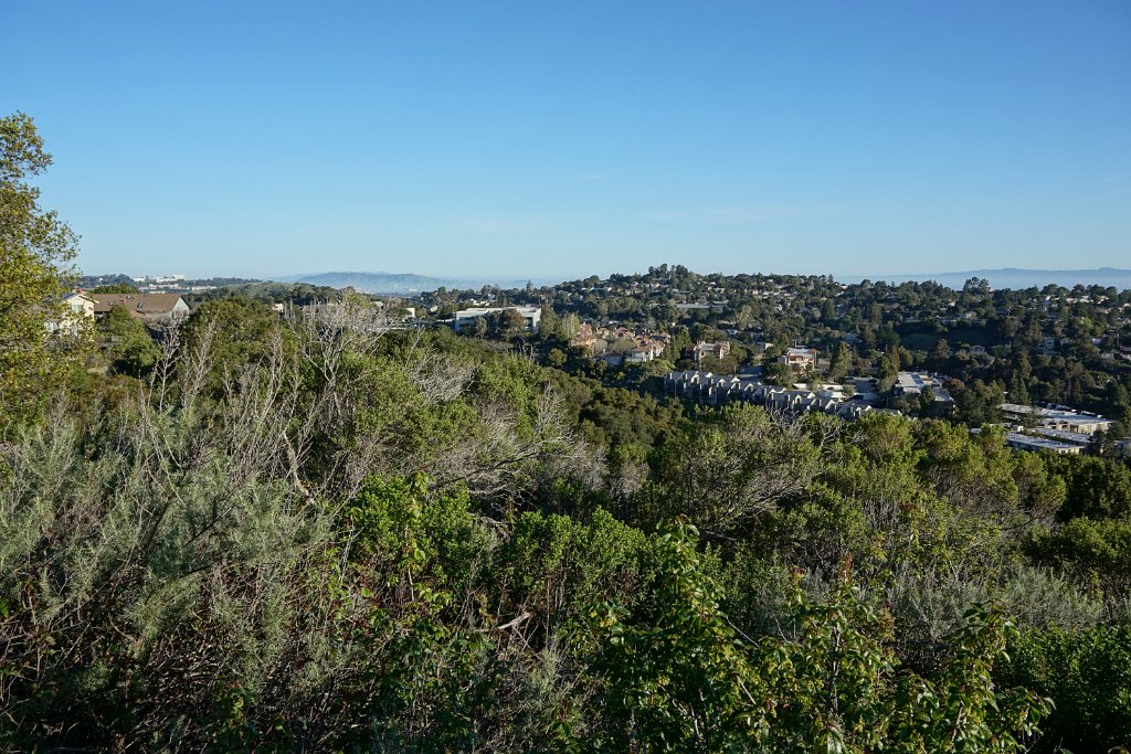 DSC01387