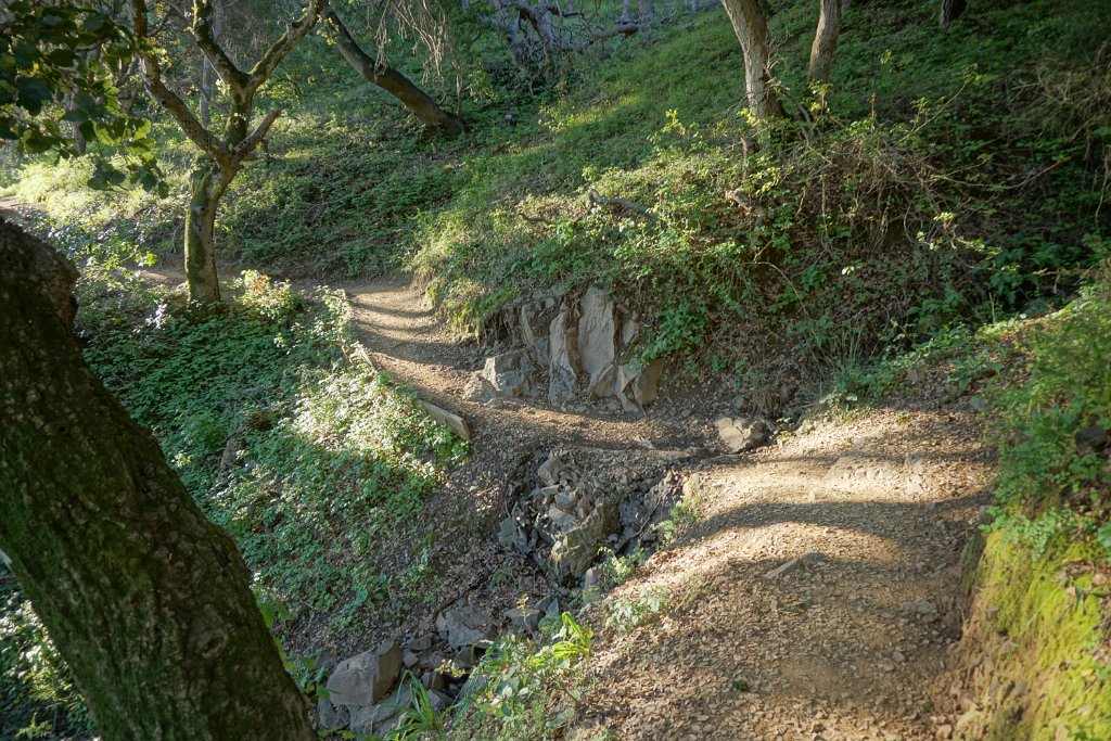 DSC01393