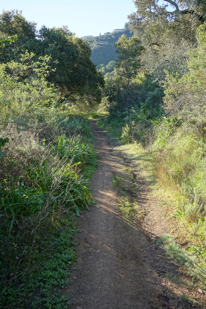 DSC01415