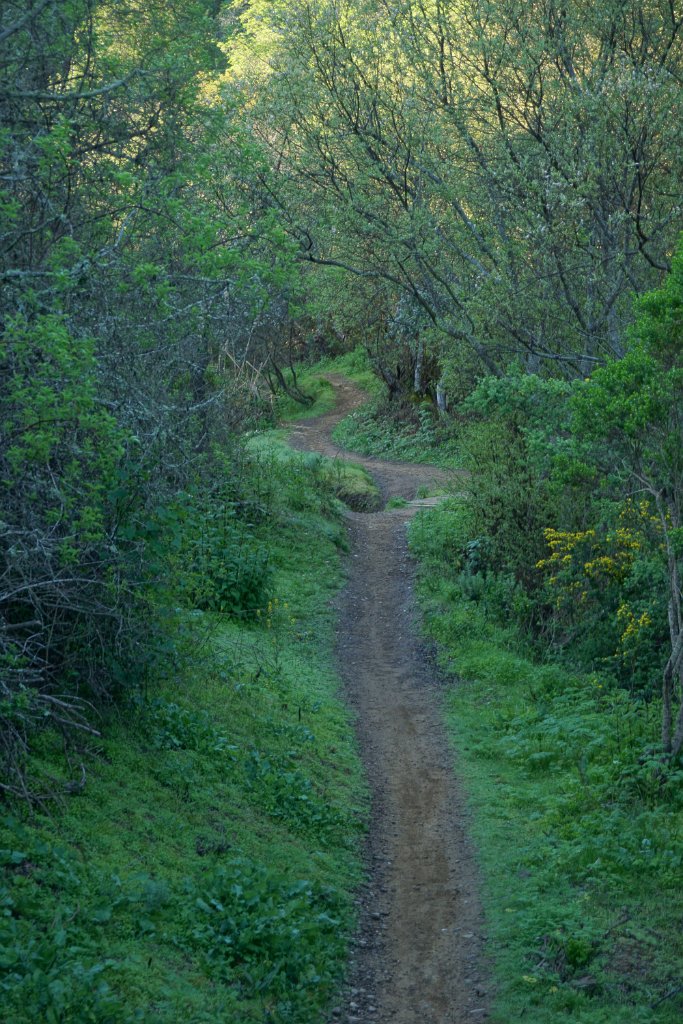 DSC01424