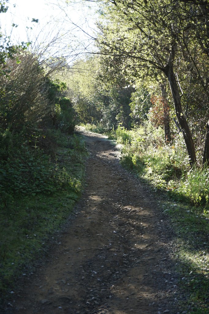 DSC01425