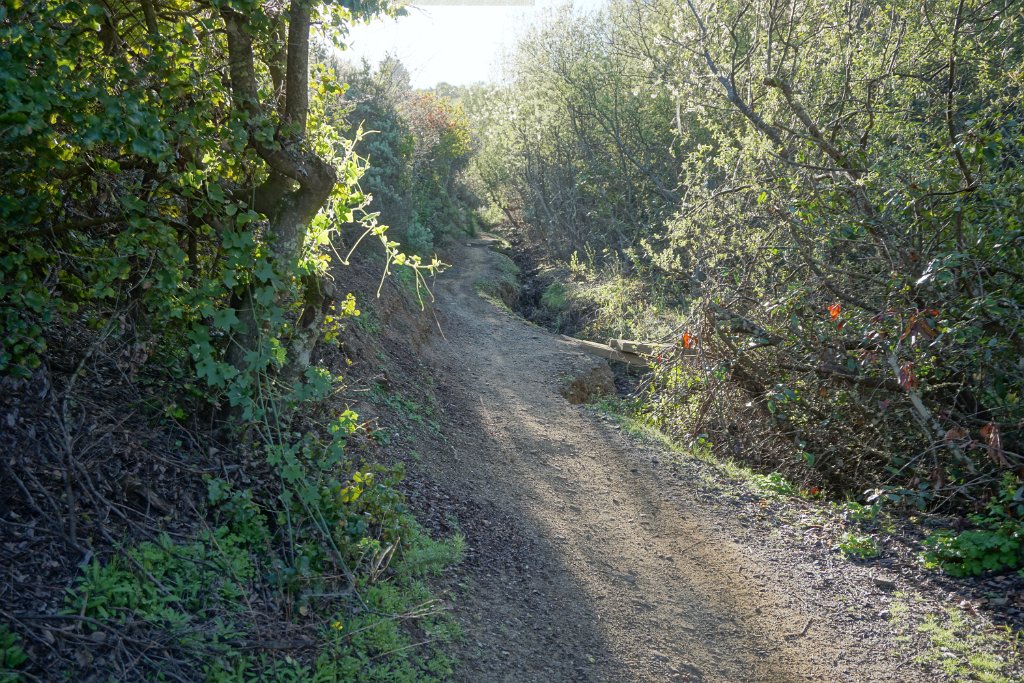 DSC01428