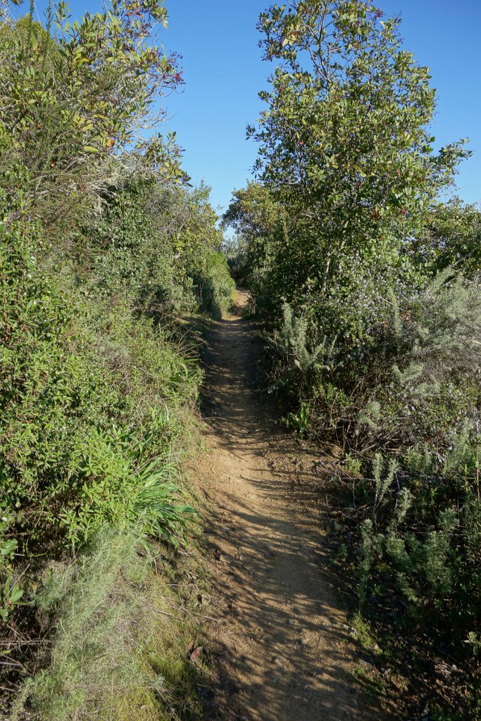 DSC01438