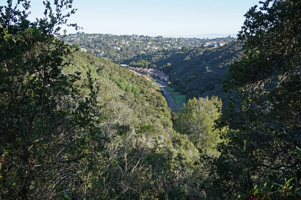 DSC01443