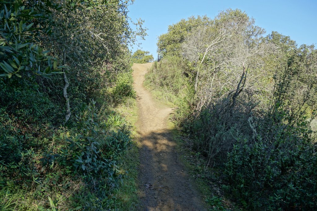 DSC01446