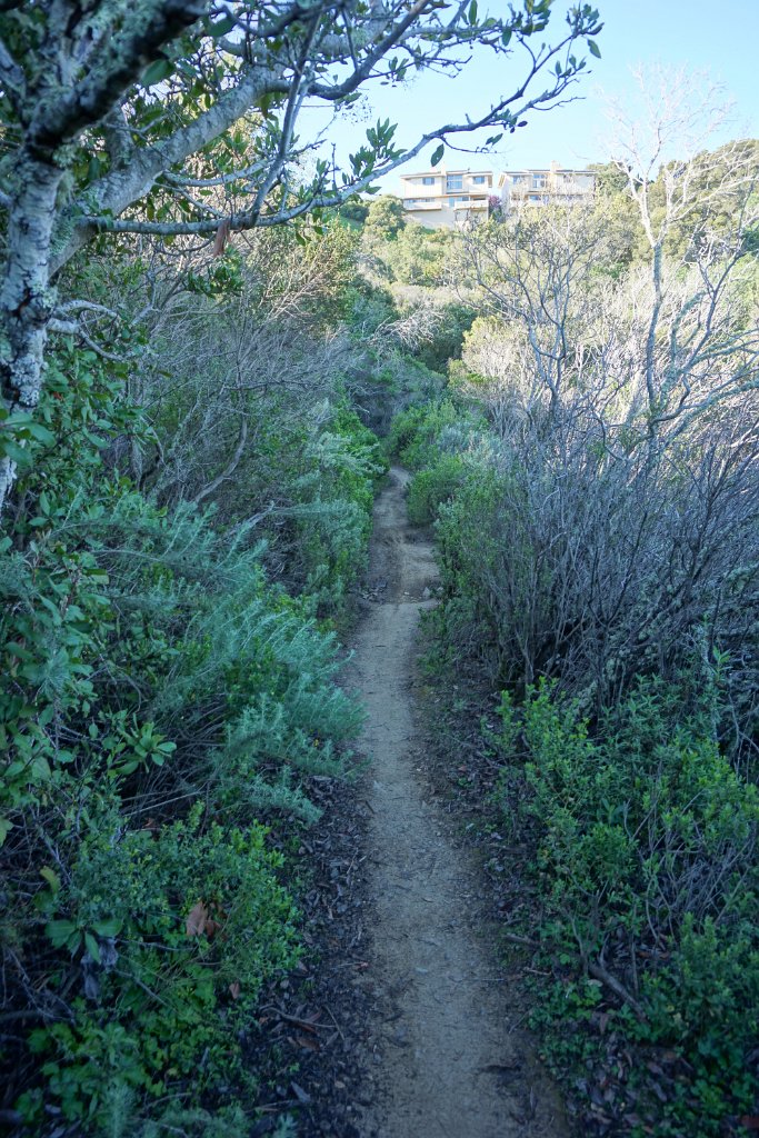 DSC01448