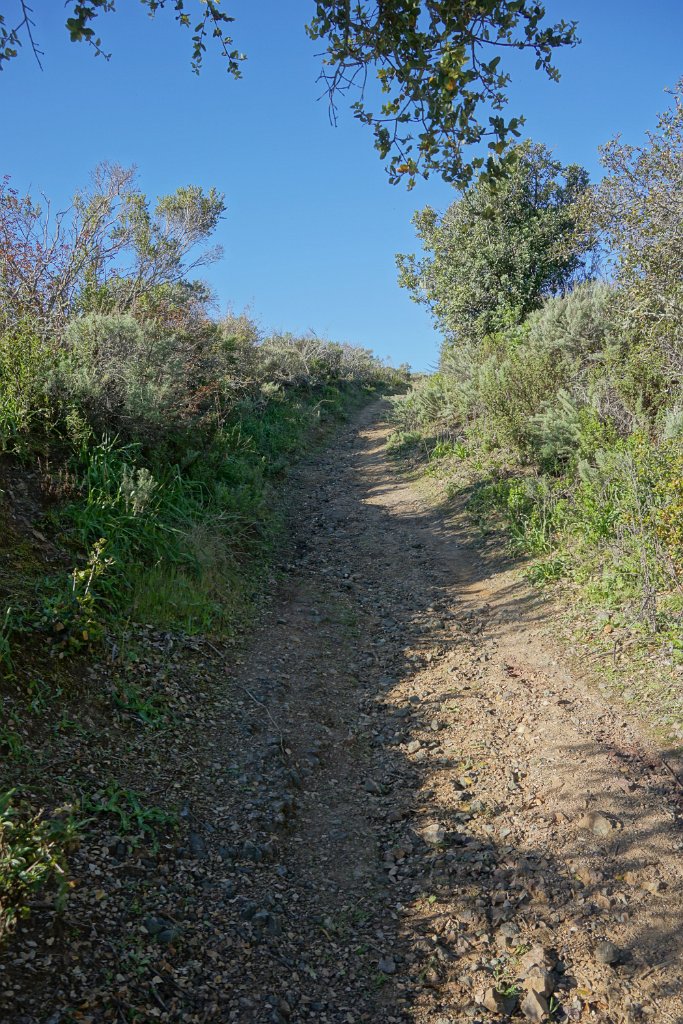 DSC01470