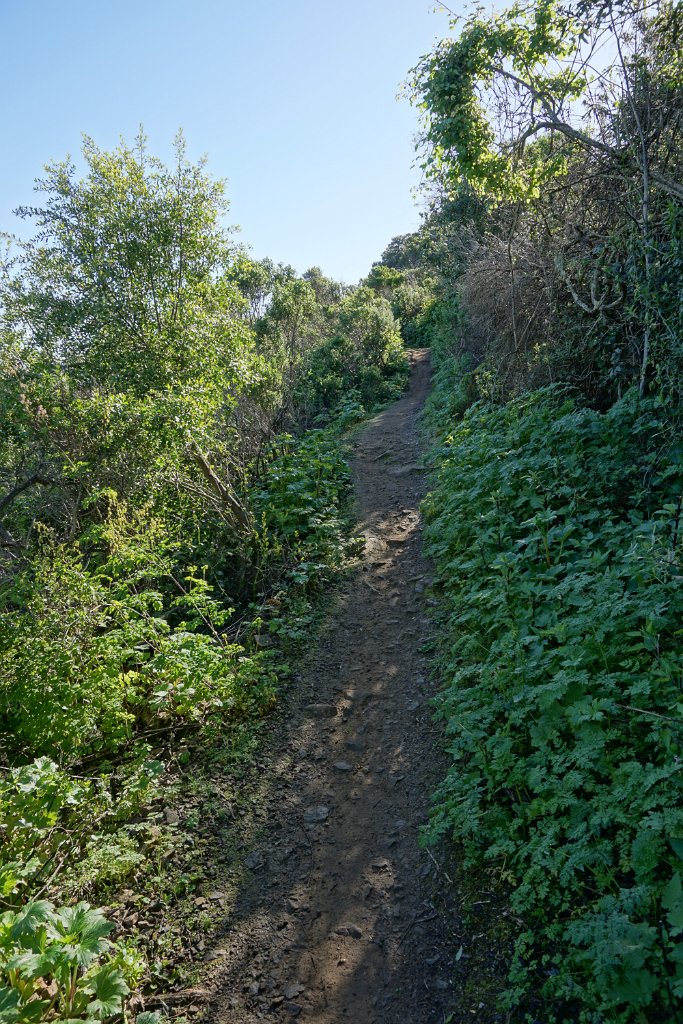 DSC01498