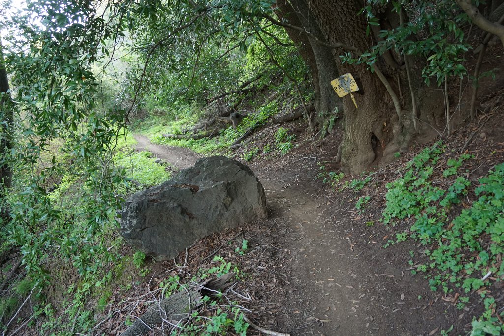 DSC01499