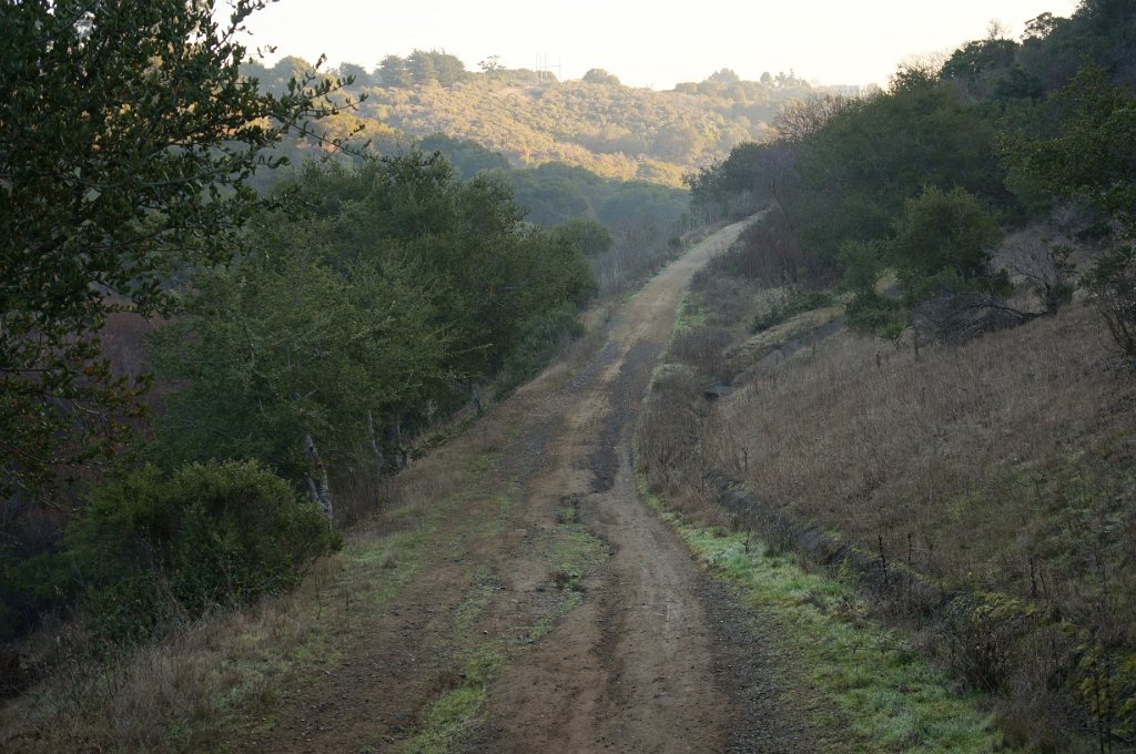 DSC00080