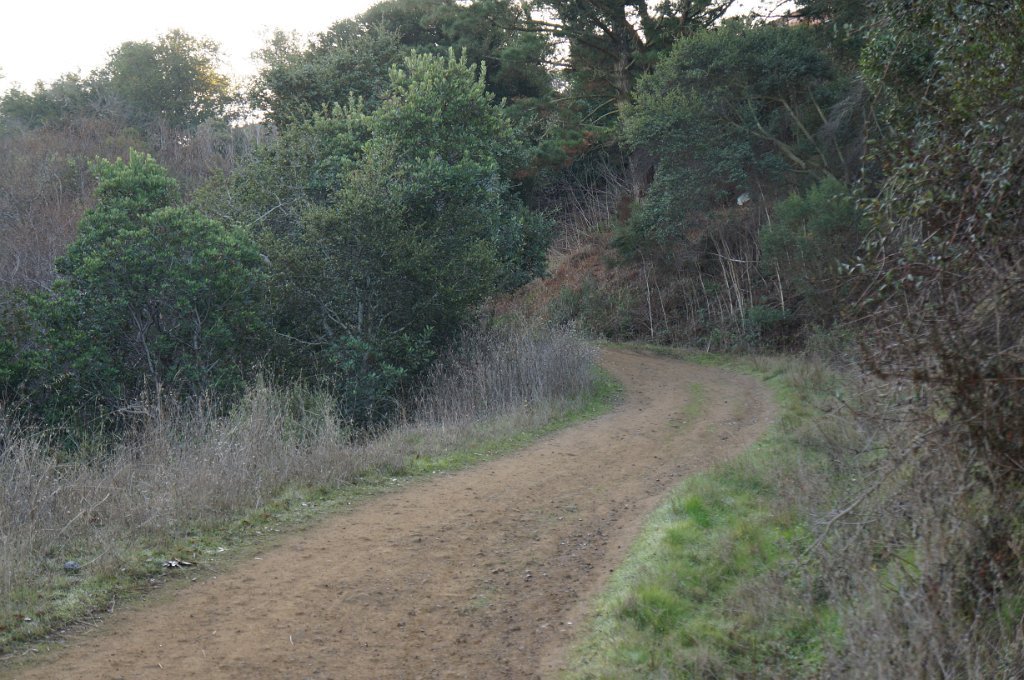 DSC00082