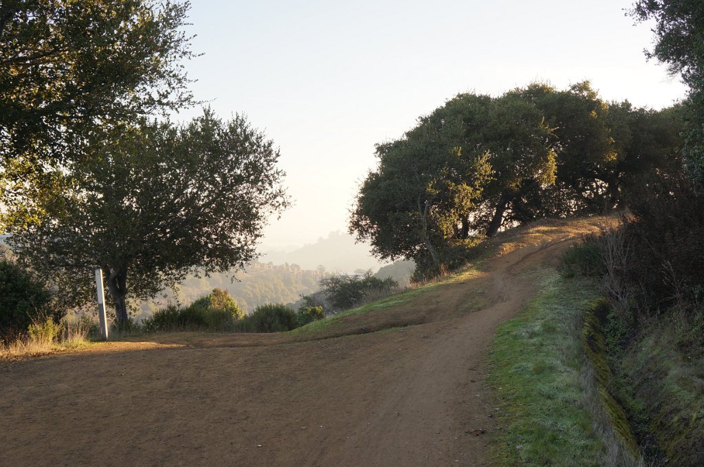 DSC00083