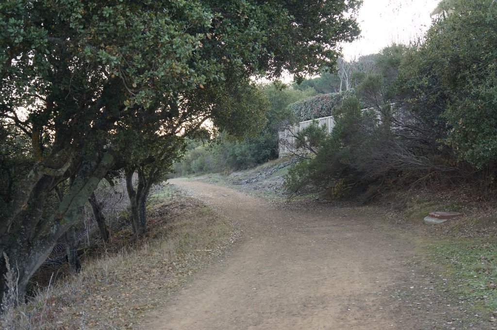 DSC00085