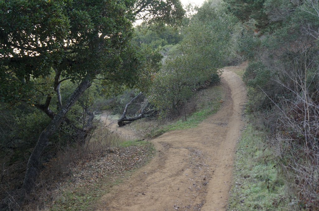 DSC00086