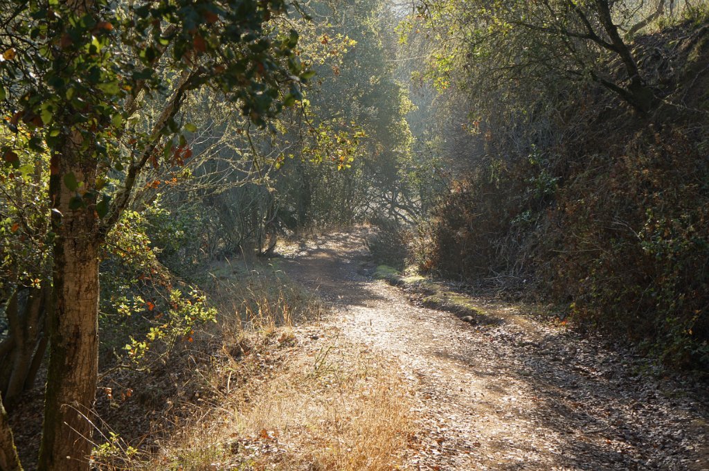 DSC00110